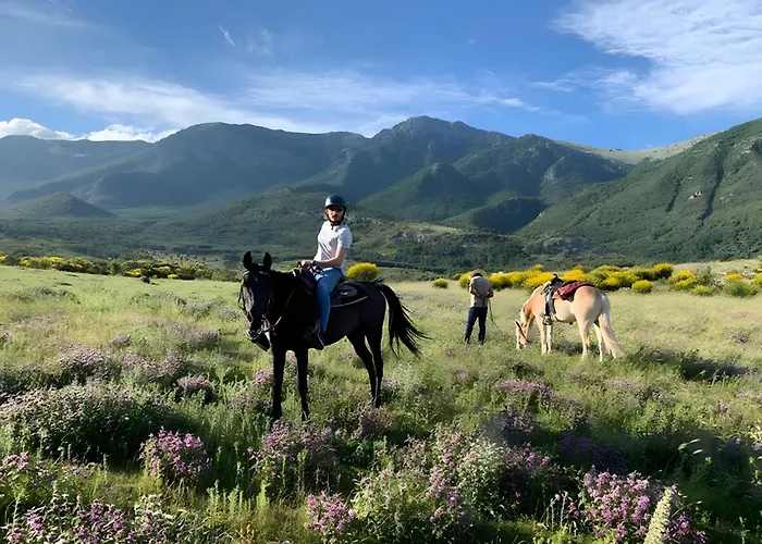 Casa Vista Mare Con Giardino * 普拉亚·阿马勒