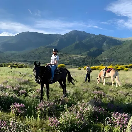 Casa Vista Mare Con Giardino * Praia a Mare